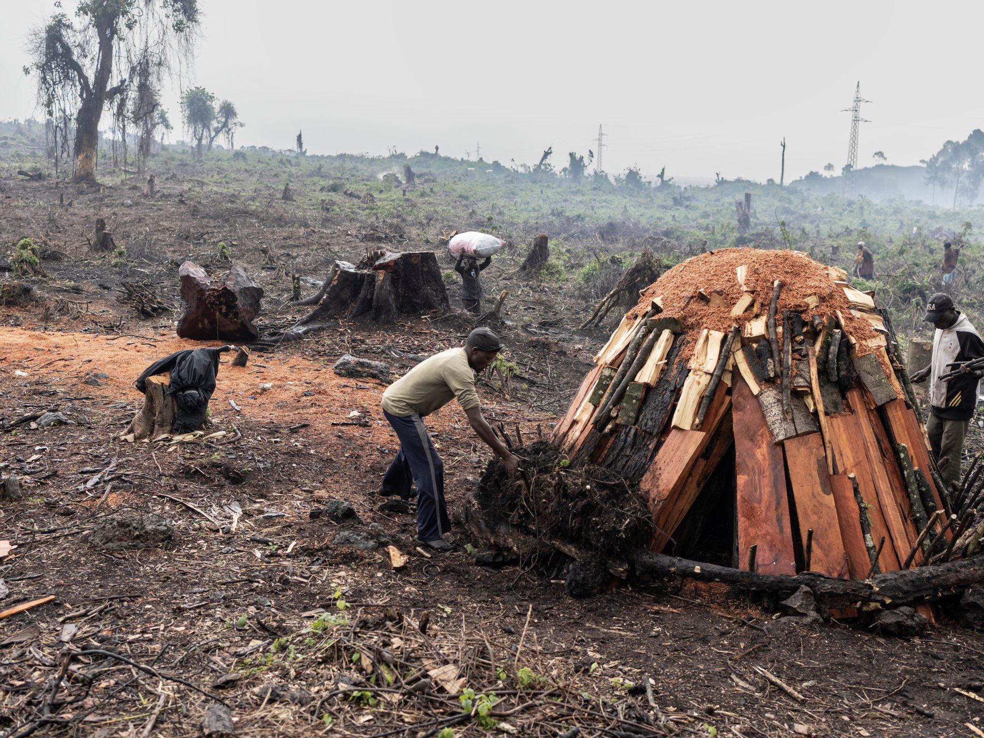 HRW menuduh milisi M23 melakukan pemerkosaan, menemukan kuburan massal di DR Kongo |  Berita Hak Asasi Manusia