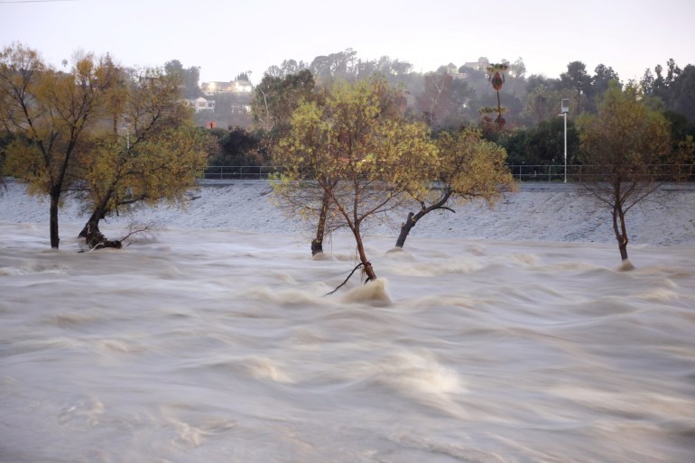 Flooding on the Los Angeles River tears past trees