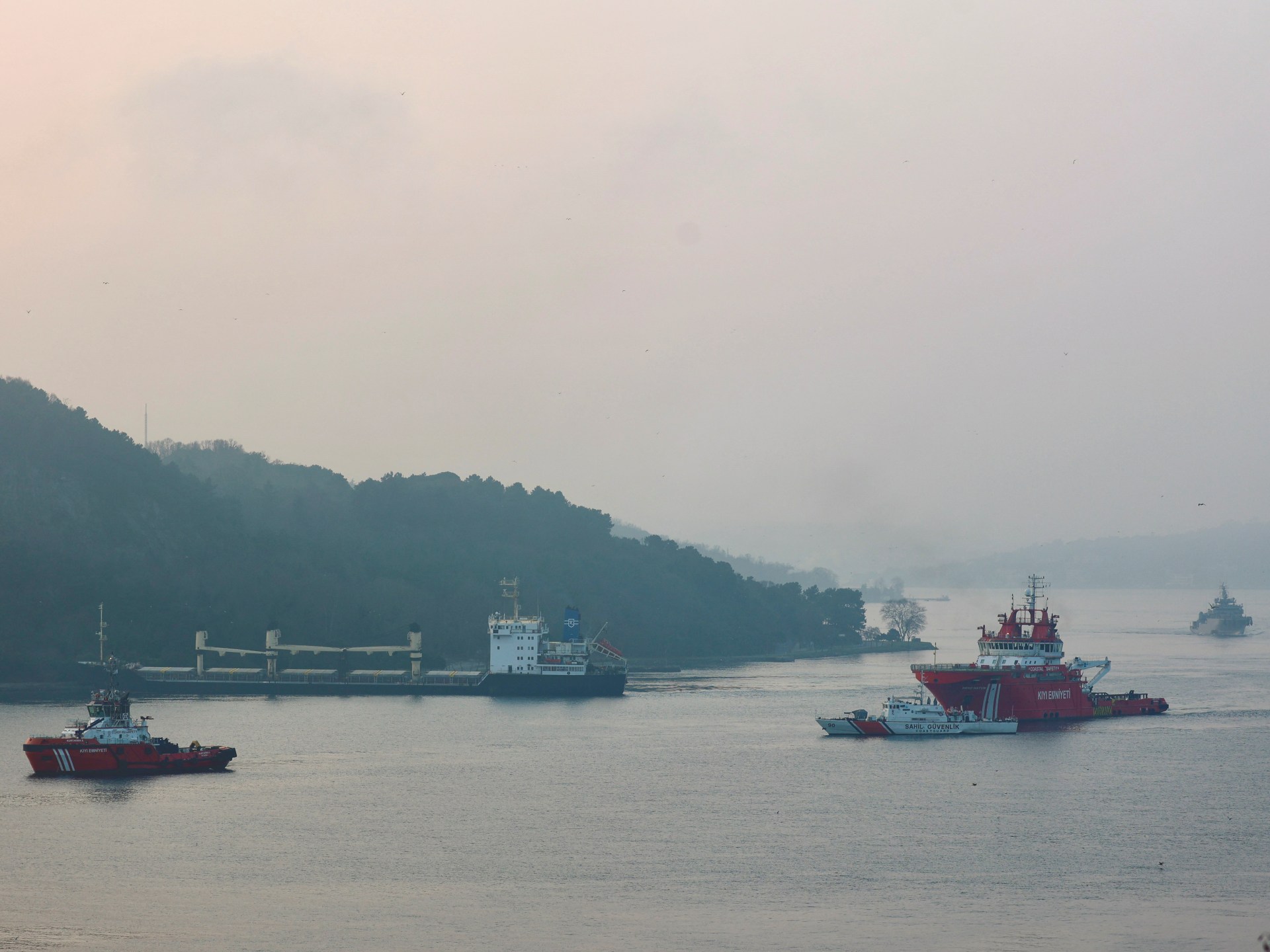 Cargo ship from Ukraine grounded in Istanbul’s Bosphorus Strait
