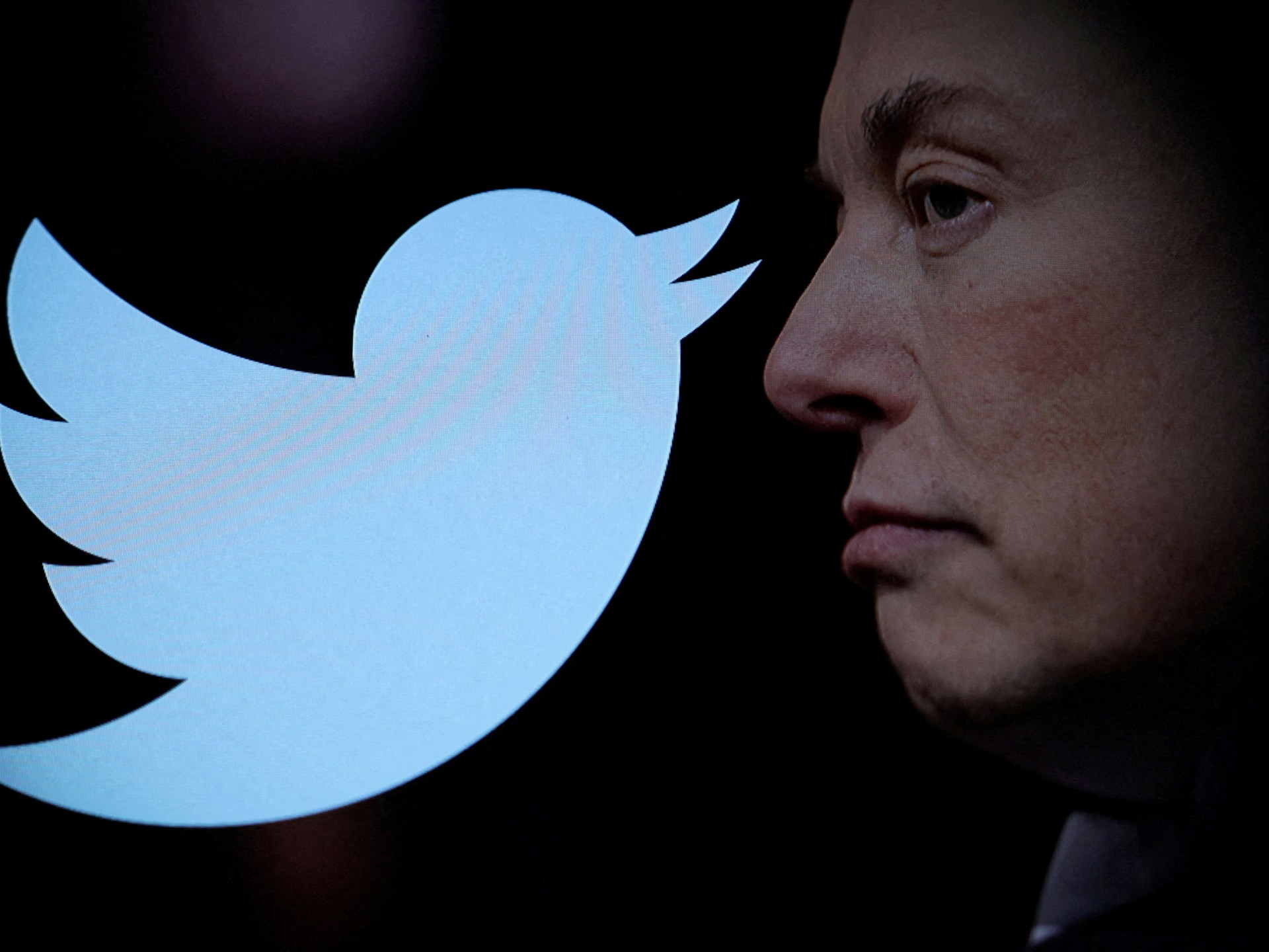 Musk mengatakan memiliki Twitter ‘bukanlah sebuah pesta’ |  Berita Media Sosial