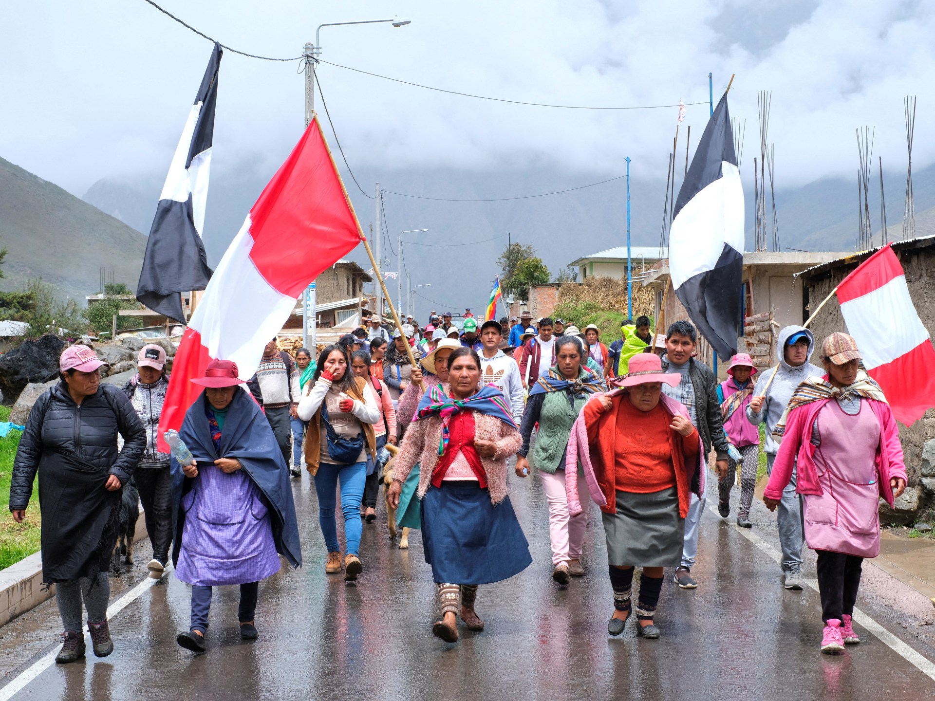 ‘Pattern of repression’: US Democrats call to suspend Peru aid