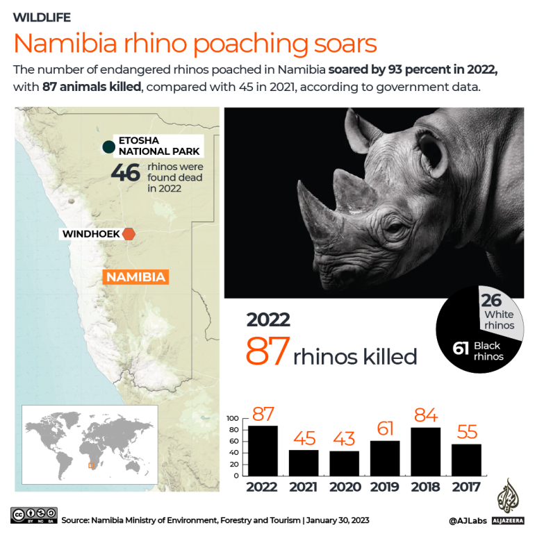 INTERACTIVE - Namibia Rhino poaching soars in 2022
