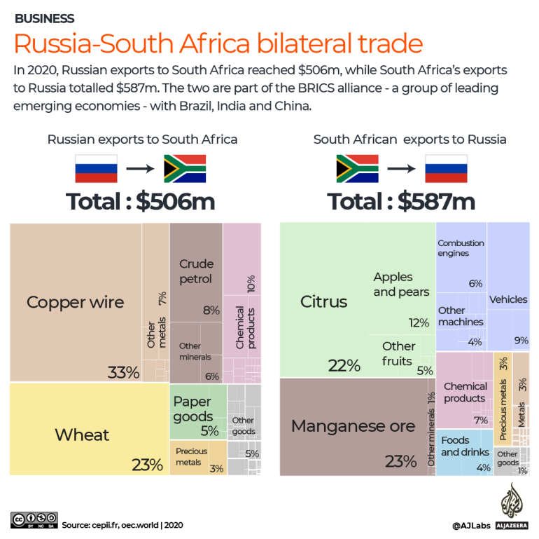 INTERATIVO - Comércio bilateral Rússia e África do Sul