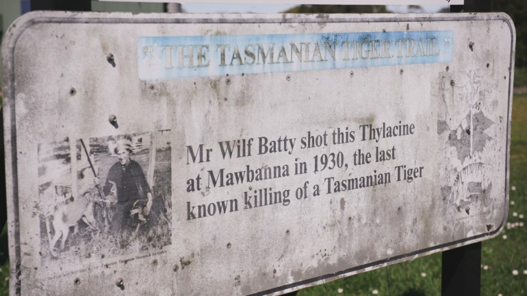 A photo of a sign post in Mole Creek, Tasmania that says "Mr Wilf Batty shot this Thylacine at Mawbanna in 1930, the last known killing of a Tasmanian Tiger".