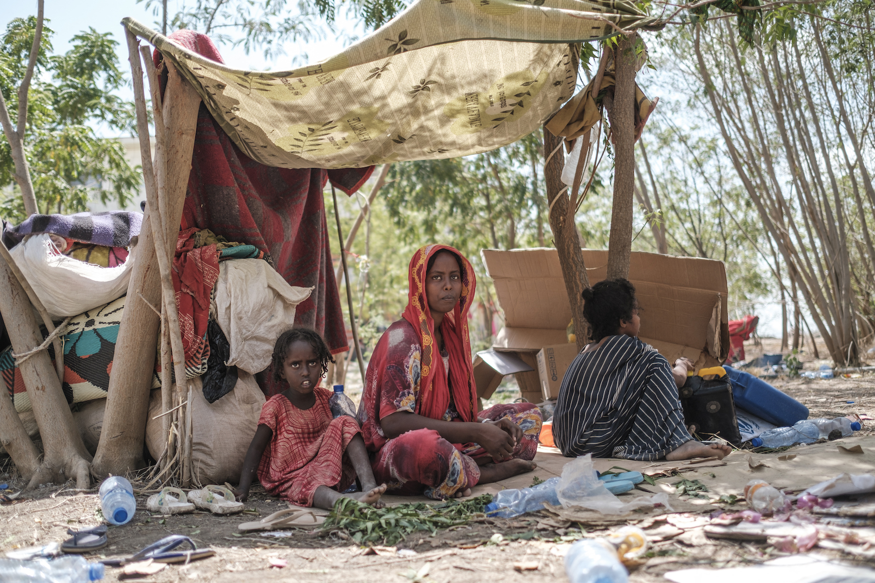 UN investigators warn of risk of future atrocities in Ethiopia