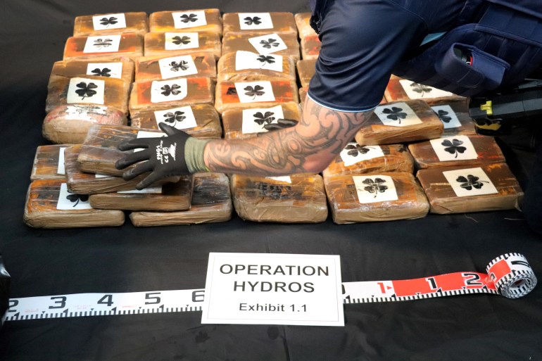 The individual packages of drugs on display. They each have a white sticker showing a black four leafed clover. A police officer is leaning across to arrange the packages. They are wearing black gloves. There is a large measuring tape in front and a sign reading 'Operation Hydros. Exhibit 1.1'