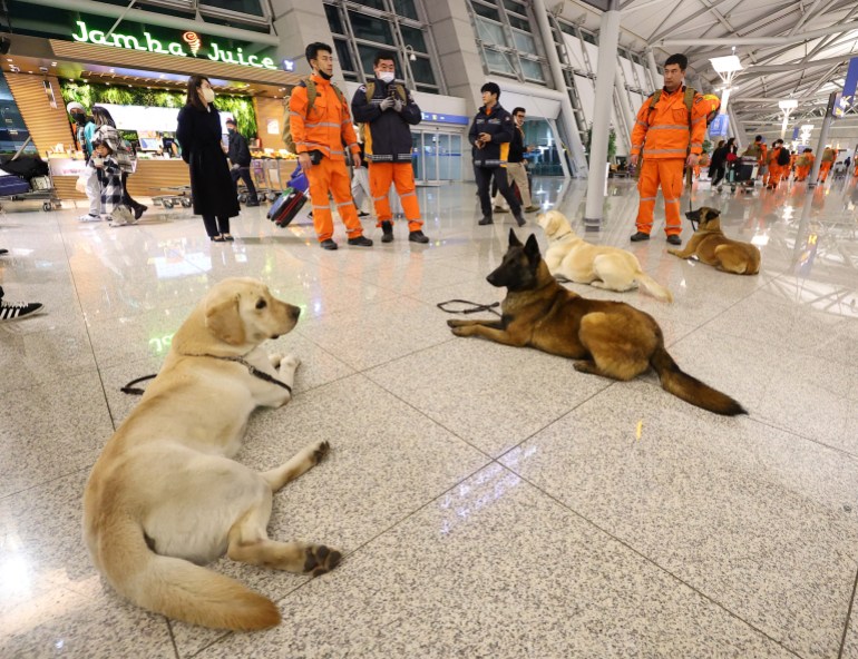 Petugas penyelamat Korea Selatan dan anjing pencari bersiap untuk berangkat ke Turki untuk operasi penyelamatan di Bandara Internasional Incheon di Incheon, Korea Selatan