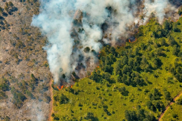 Puluhan kebakaran hutan menghanguskan Kuba dan mengancam perekonomian yang rapuh |  berita lingkungan