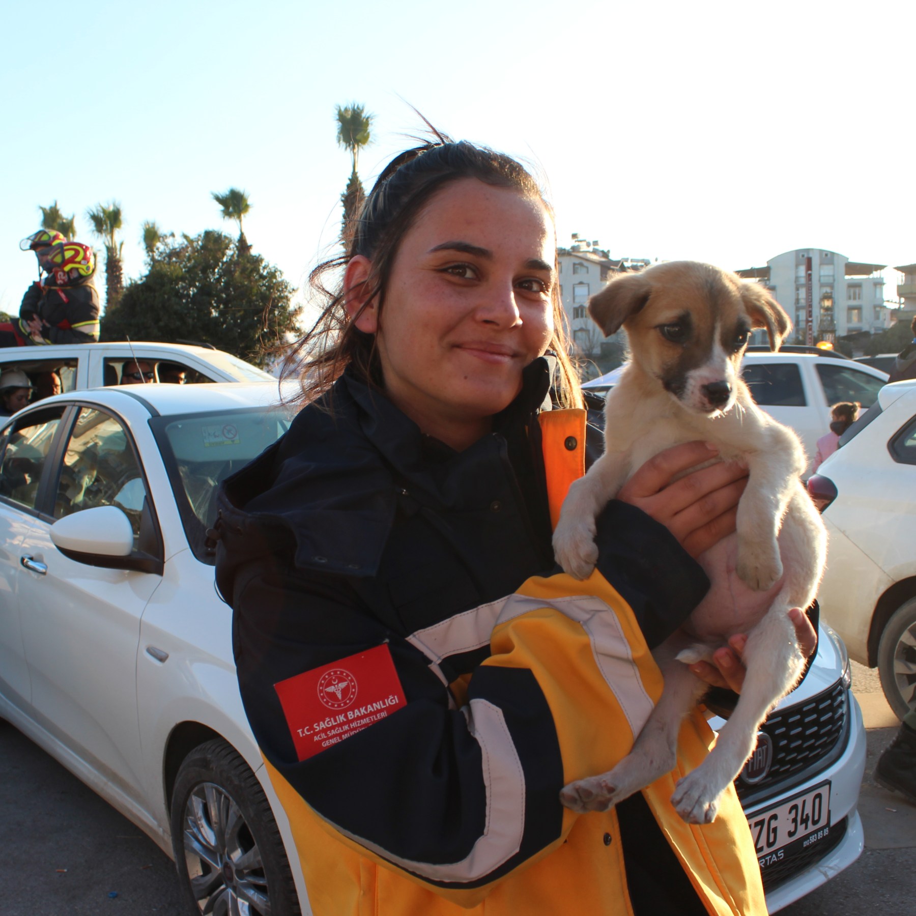 Rescue teams treat animals saved from the rubble of Turkey quakes |  Turkey-Syria Earthquake News | Al Jazeera