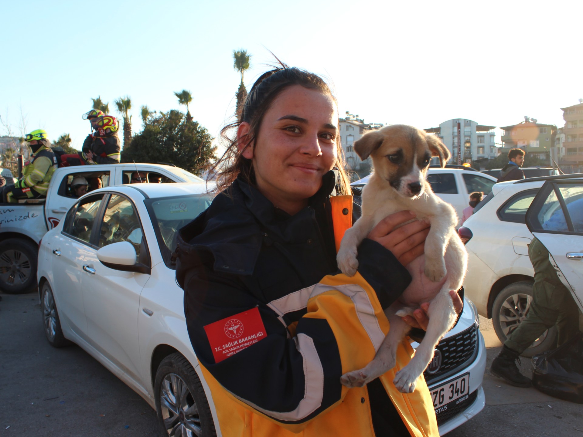 Rescue teams treat animals saved from the rubble of Turkey quakes | Turkey-Syria Earthquake News