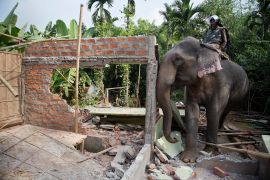 An elephant is seen demolishing a house during an eviction drive in the state of Assam, India, on November 27, 2017 [File: Anupam Nath/AP Photo]