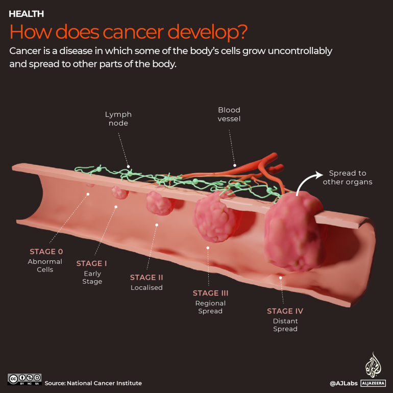 INTERACTIVE_WORLDCANCER_2023_How does cancer develop_