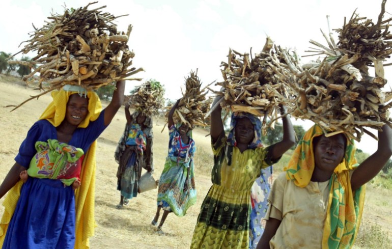 Pengungsi wanita Sudan dari suku Fur mengumpulkan kayu bakar