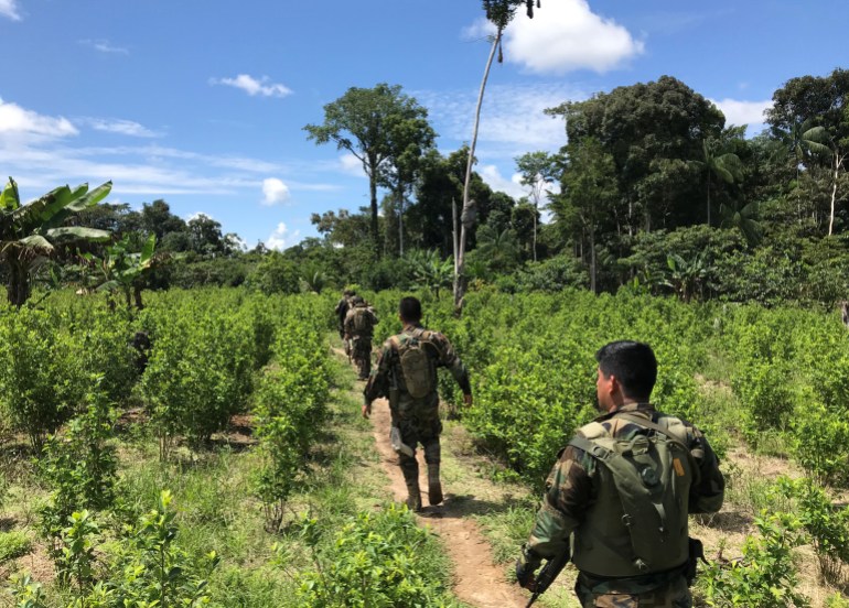 Peruvian drug enforcement officers walking through a coca farm