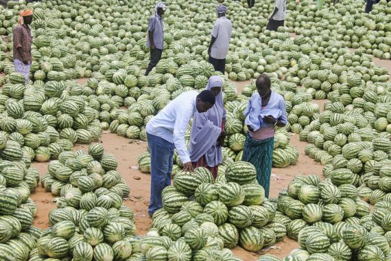 Somali vendors arrange watermelons for sale at an open air grocery market as Muslims prepare for the fasting month of Ramadan, the holiest month in the Islamic calendar, in Hamarweyne district of Mogadishu, Somalia