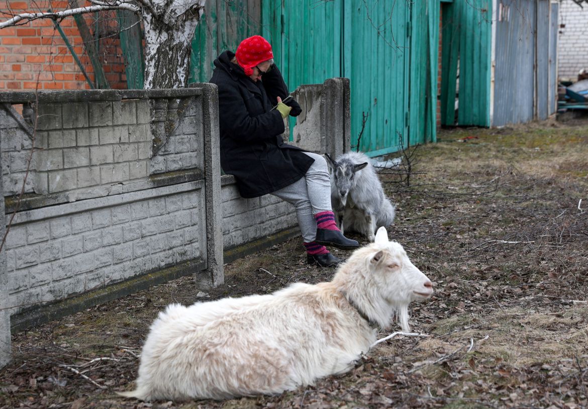 A woman checks her smatphone next to the goats in the town of Svyatogirsk, Donetsk region
