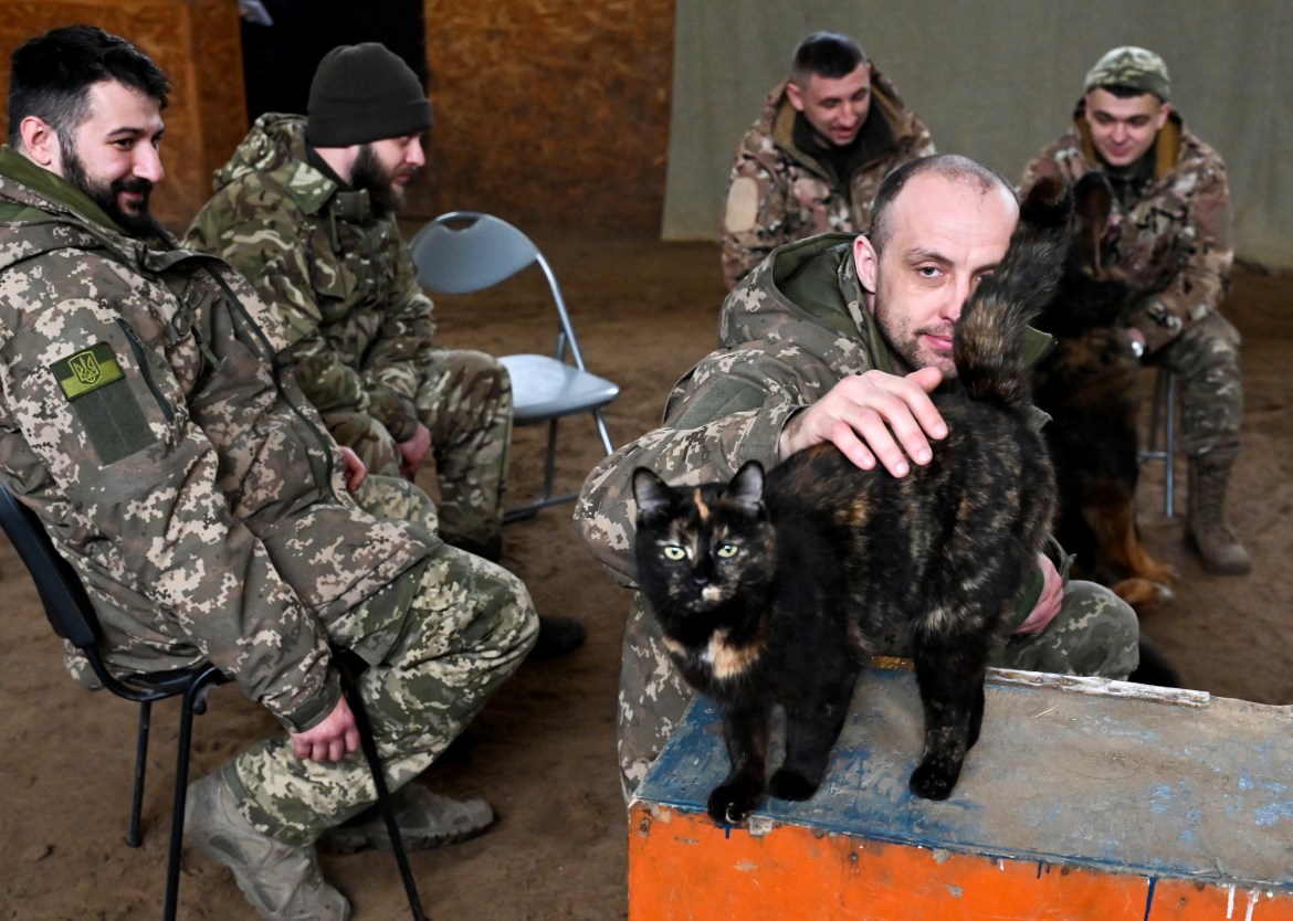 A Ukrainian serviceman pats a cat during a hippotherapy session in Kyiv