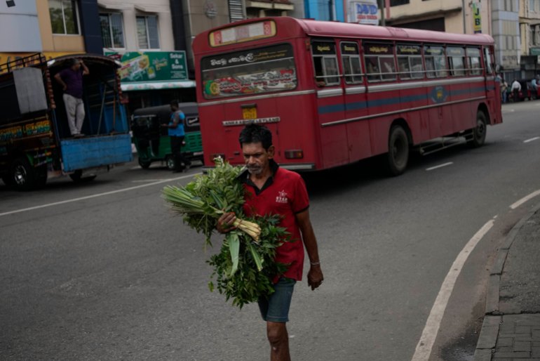A man walks towards a market place carrying curry leaves in Colombo, Sri Lanka, Tuesday, March 21, 2023.