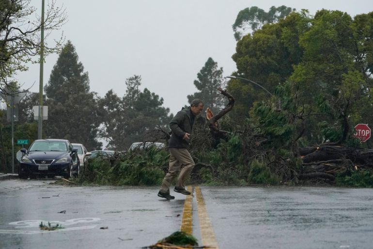 Man walking by downed tree