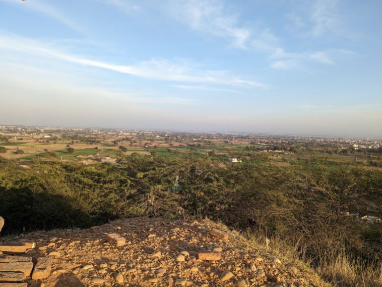 A photo of Bhatial fields.
