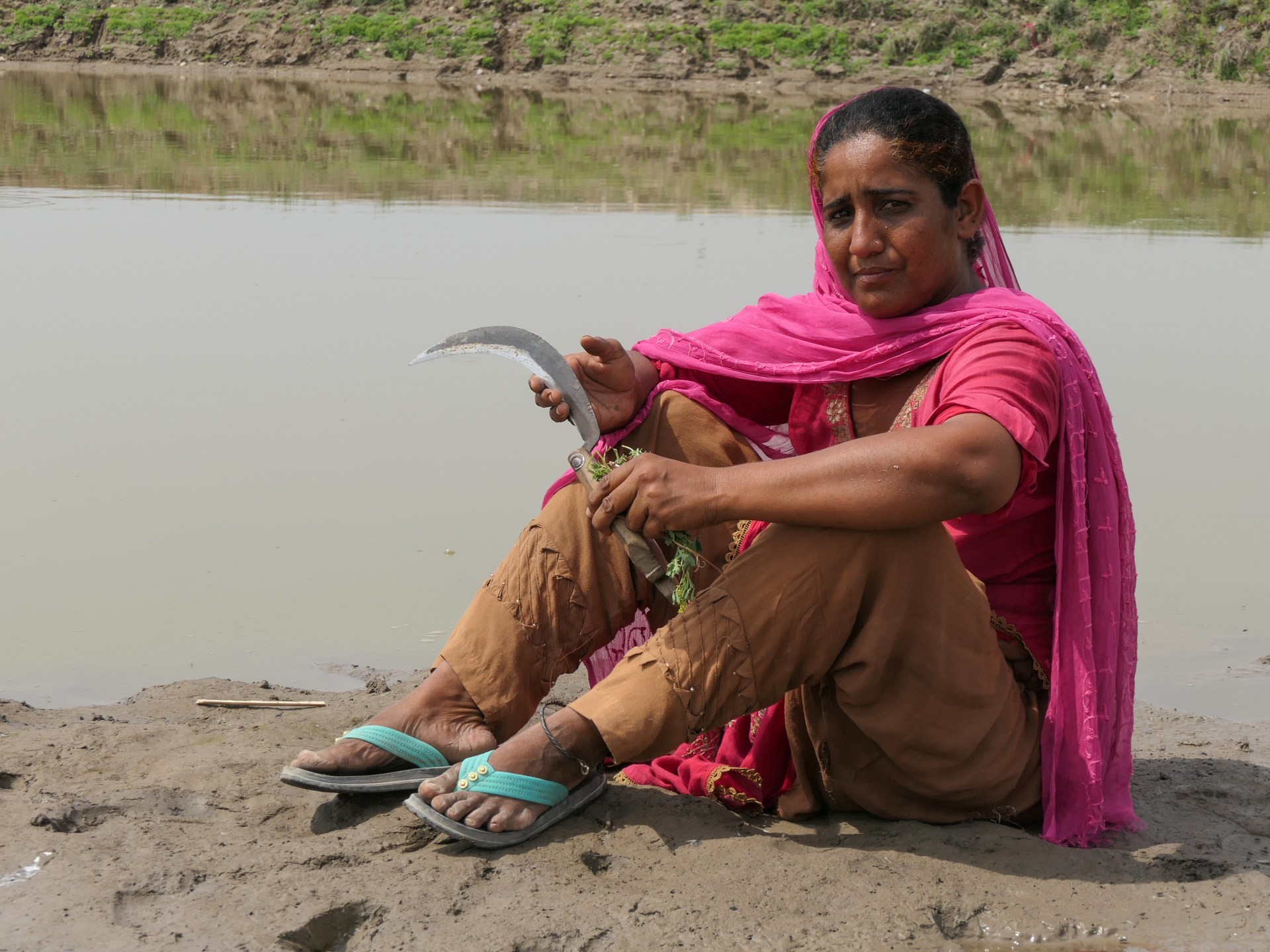 Pakistan’s female agriculture workers suffering since 2022 floods
