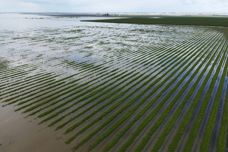 An aerial shot shows farmland inundated with water