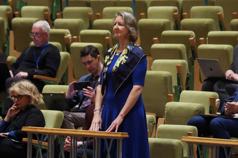 Elizabeth Whelan, sister of ex-US Marine Paul Whelan, attends a UN Security Council meeting