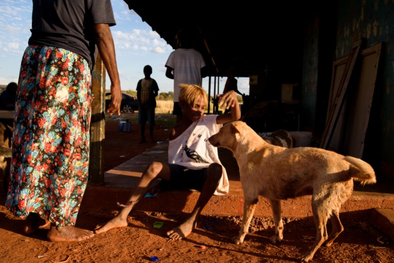 Merawat anjing setengah liar komunitas Aborigin Yuendumu |  Berita Seni dan Budaya
