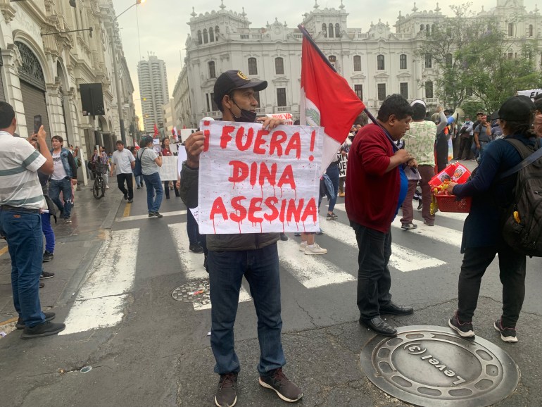 A man holds a paper sign with writing in oozing red ink: "Fuera! Dina Asesina". A man behind him carries a Peruvian flag.