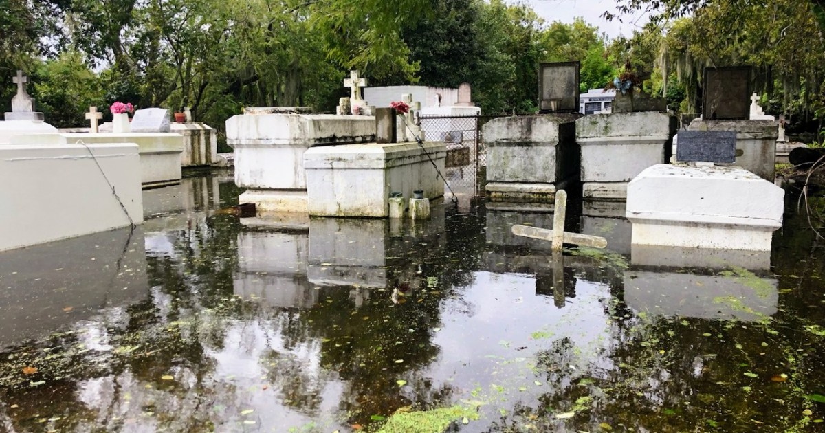 As Louisiana's coast washes away, the dead are the first to go, Climate  Crisis