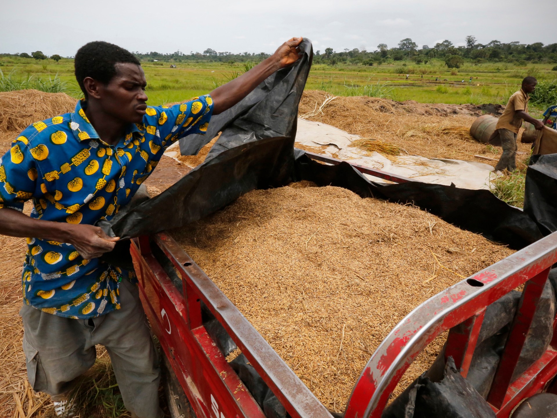 How inflation made West Africa’s prized jollof rice a pricey meal | Inflation