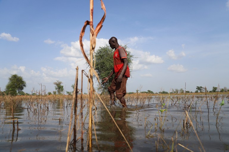 Souloukna Mourga, 50, who has been a farmer for more than 35 years and lost two hectares of cotton and one of millet due to flooding, plods through his submerged red millet field in Dana, Cameroon October 25, 2022 [Desire Danga Essigue/Reuters]