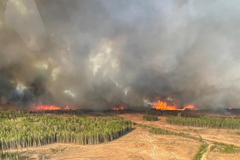 Alberta Kanada menyatakan keadaan darurat atas kebakaran hutan |  Berita tentang krisis iklim