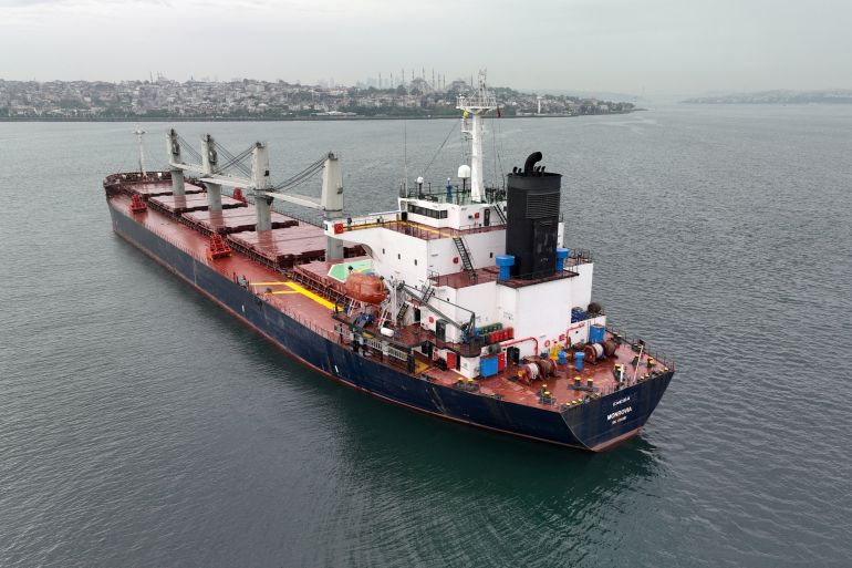 Liberia-flagged bulker Eneida, carrying grain under UNÕs Black Sea grain initiative, waits for inspection in the southern anchorage of Istanbul.