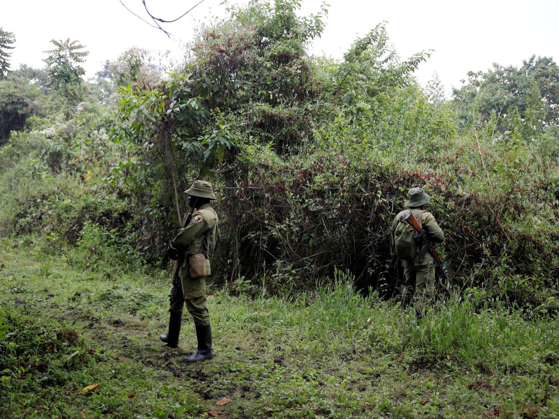 Killing of Two Rangers in Congos Virunga National Park