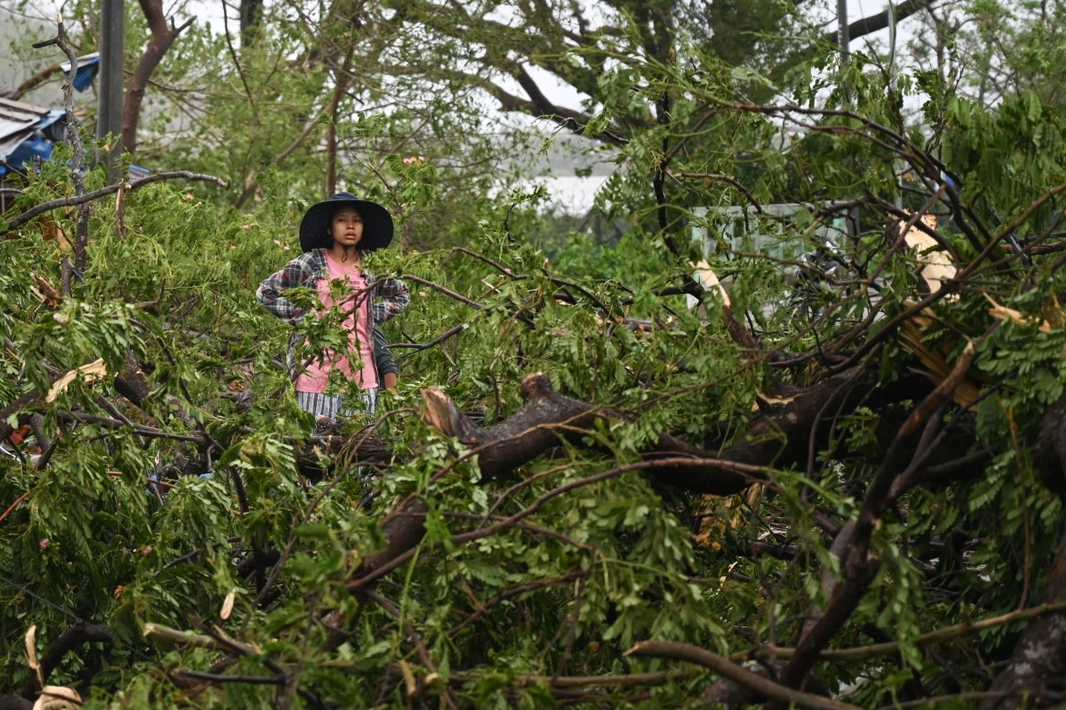 म्यानमारच्या राखीन राज्यातील क्यौकटॉमध्ये उन्मळून पडलेल्या झाडांमध्‍ये असाहाय्यपणे उभी असलेली महिला 
