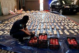 A Saudi customs officer opens imported pomegranates, as customs officials foil an attempt to smuggle more than five million Captagon pills they said came via Lebanon, at Jeddah Islamic Port, Saudi Arabia in 2021 [File: Saudi Press Agency via AP]