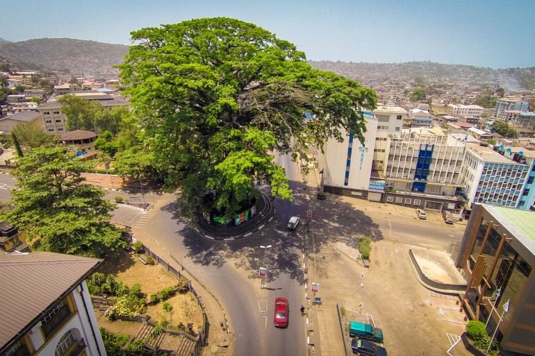 Sierra Leone : Une tempête abat un arbre symbolique vieux de 400 ans, le président réagit !