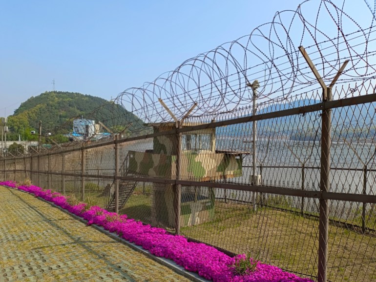 A South Korean watchtower surrounded by barbed wire at the DMZ.  Bright pink bougainvillea grows on the path next to it 