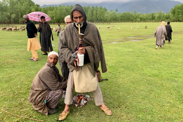 Clamore quando i cinghiali riappaiono in Kashmir dopo decenni