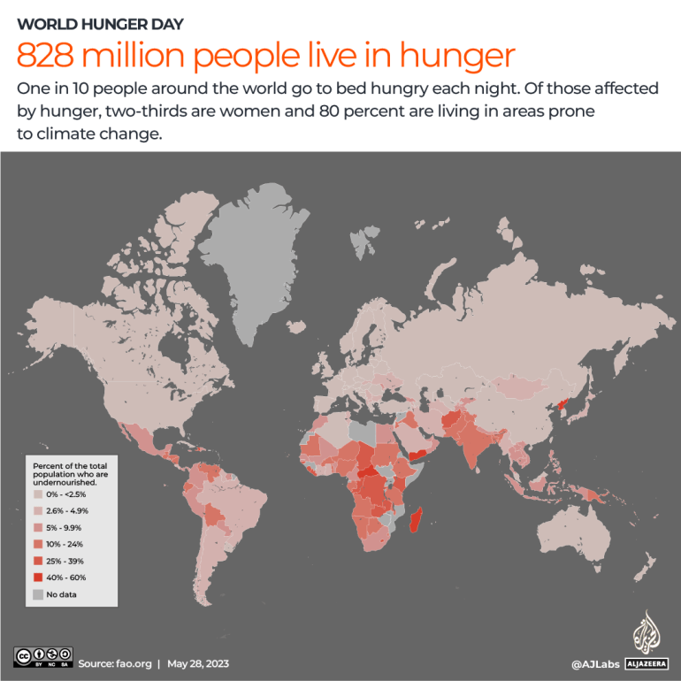 Mengapa lebih dari 800 juta orang hidup dalam kelaparan?  |  Berita Infografis