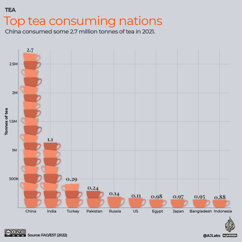 Infographie des principaux pays consommateurs de thé