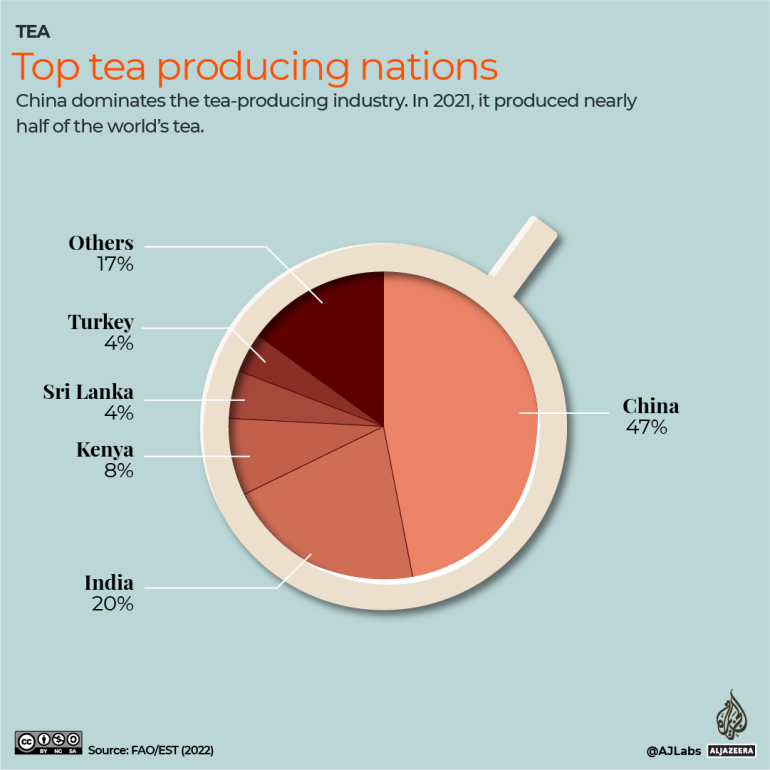 Infographie des principaux pays producteurs de thé