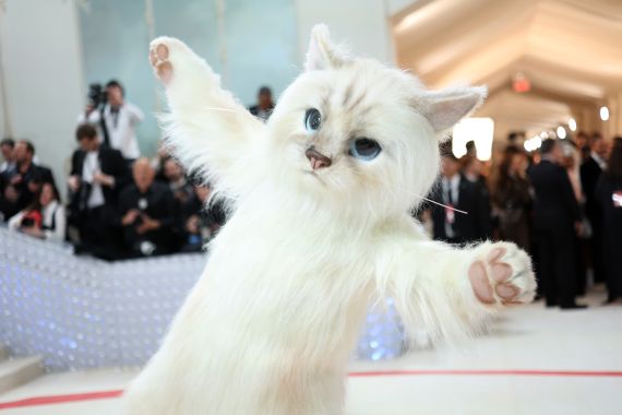 Jared Leto arrives at the Met Ball dressed as white cat Choupette.