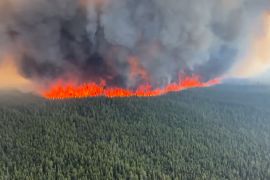 Most of the wildfires are believed to have been accidentally caused by human activity [File: Reuters]