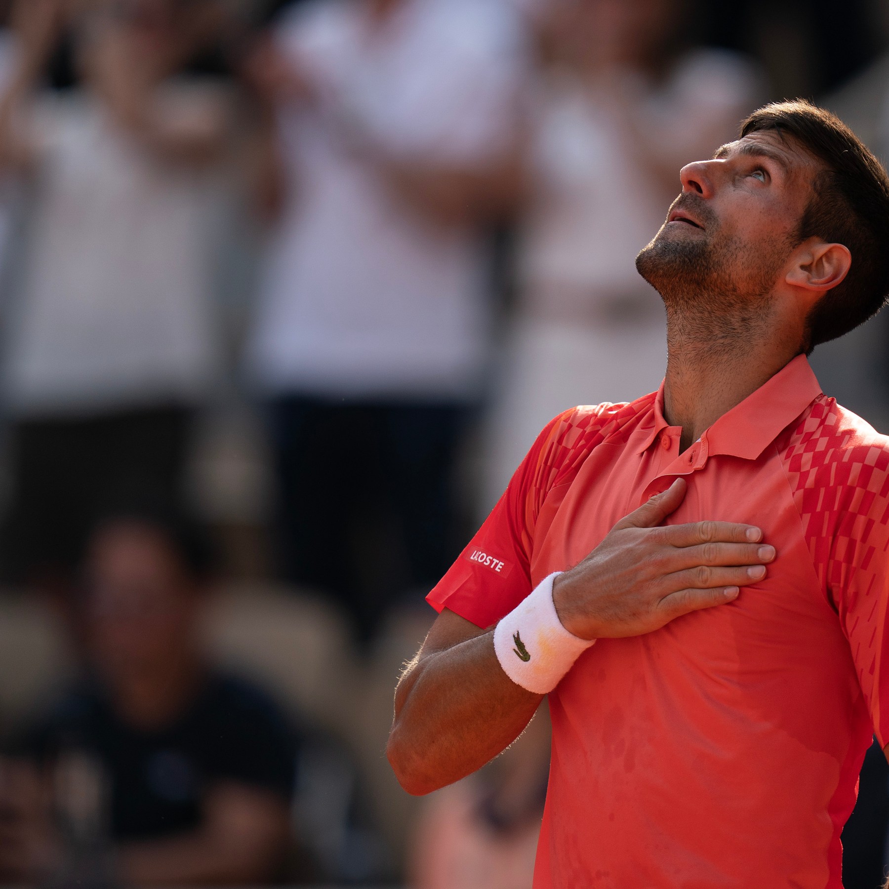 French Open  World number one Carlos Alcaraz, Novak Djokovic on