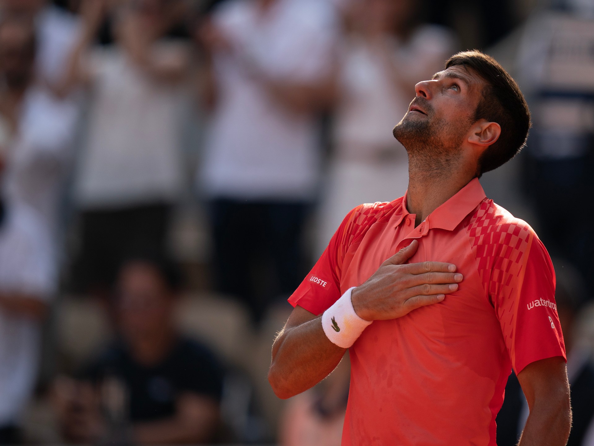 Djokovic bat les crampes d’Alcaraz pour atteindre la finale de Roland-Garros |  Nouvelles