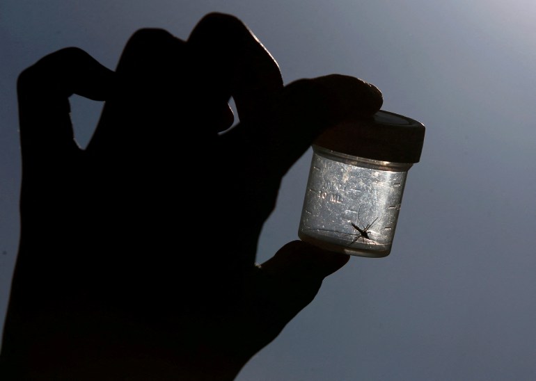 A hand, in shadow, holds up a glass vial with a mosquito inside.
