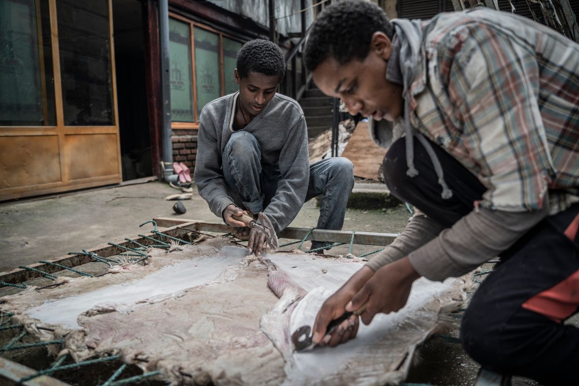 Tinsaye Chere (L), 20 and Temesgen Fenta (R), members of Hamere Berhan initiative remove layers from a goat skin to prepare it