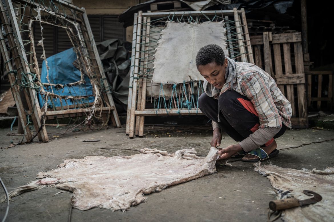 Temesgen Fenta, 18, a member of Hamere Berhan initiative prepares to tie up a goat skin to clean and get it ready for parchment